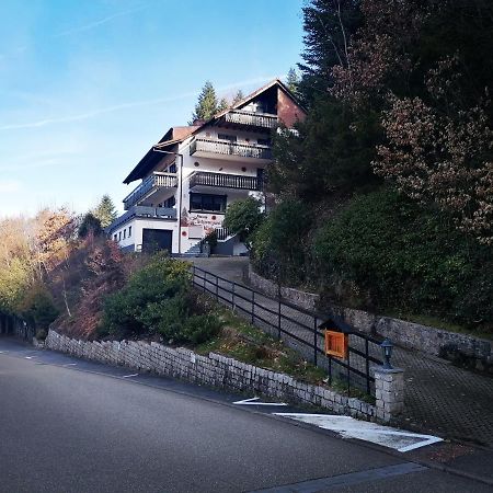 Haus Schwarzwaldblick Villa Hornberg Kültér fotó