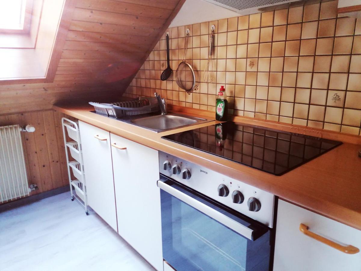 Haus Schwarzwaldblick Villa Hornberg Kültér fotó