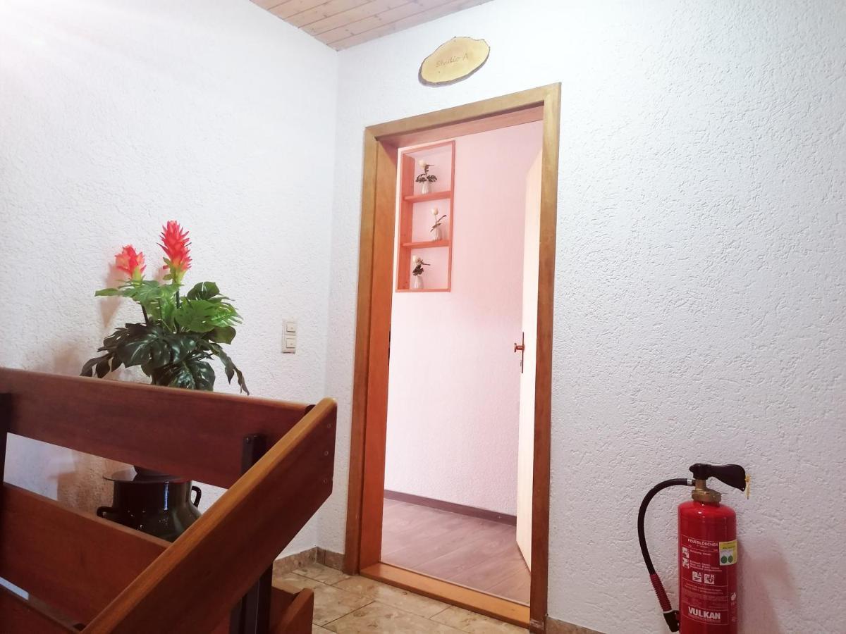 Haus Schwarzwaldblick Villa Hornberg Kültér fotó