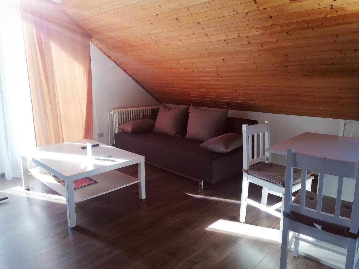 Haus Schwarzwaldblick Villa Hornberg Kültér fotó