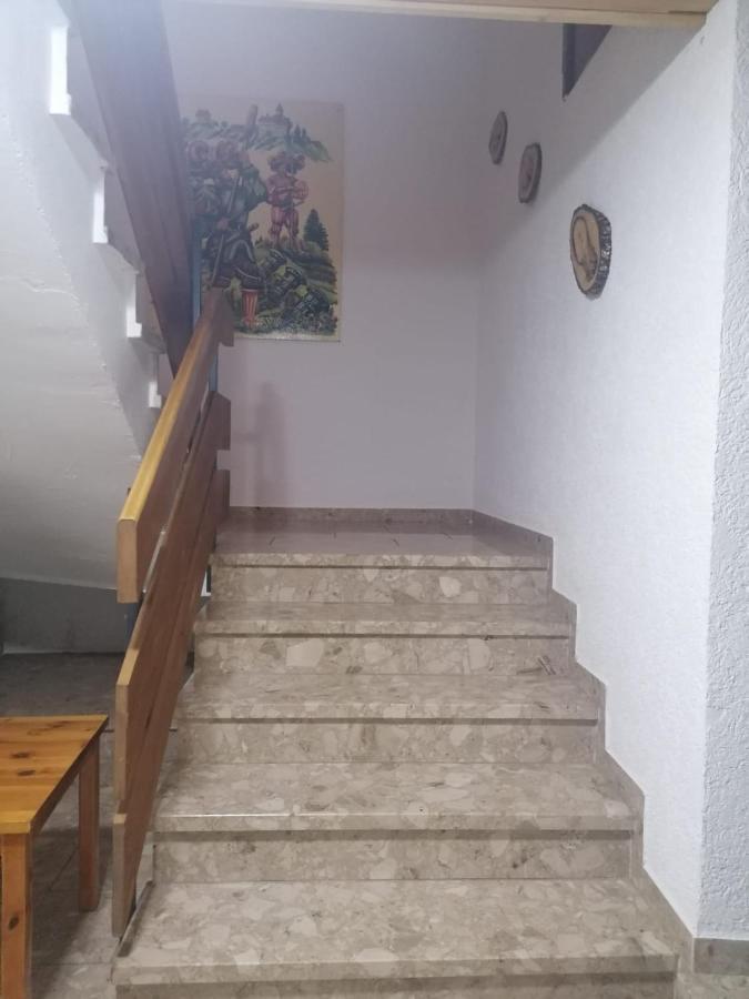 Haus Schwarzwaldblick Villa Hornberg Kültér fotó