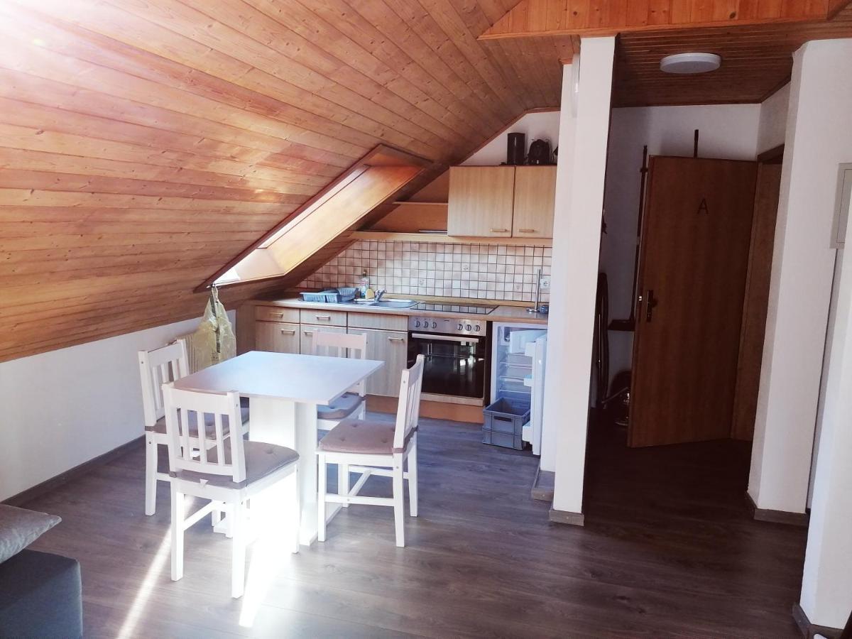 Haus Schwarzwaldblick Villa Hornberg Kültér fotó